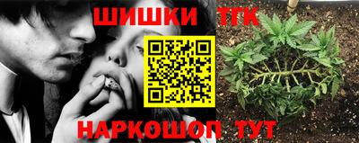 прущие крисы Можга
